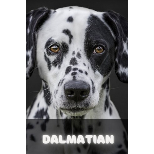 (영문도서) Dalmatian: Complete breed guide Paperback, Independently Published, English, 9798531061812
