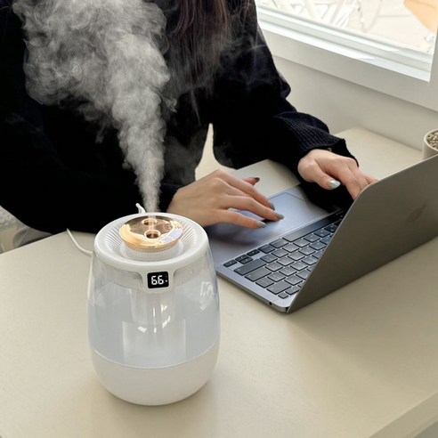 작지만 강력한 촉촉함, 헤이즈 에그포그 미니 가습기