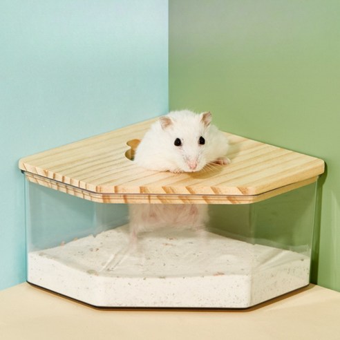 햄찌무드 원목 햄스터 화장실 목욕통, 오각형, 1개, 오각형