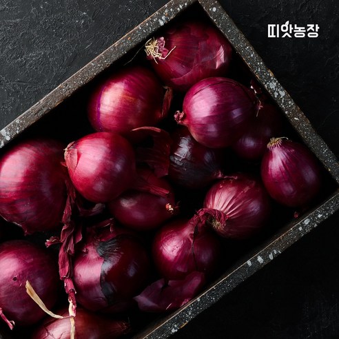 띠앗농장 제주 자색양파, 1개, 3kg(중)