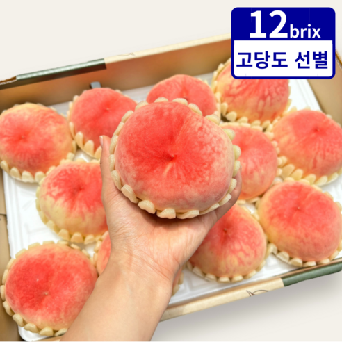 12brix 당도선별 딱딱이 백도 복숭아, 1개, 2kg (대과)