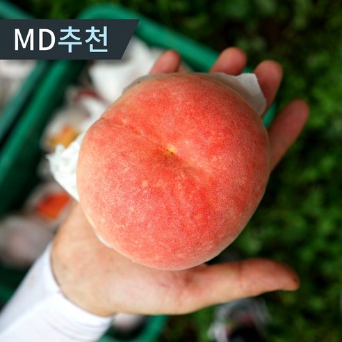 [당도보장] 천상의 단맛 햇 털복숭아, 1박스, 천단도 털복숭아 1kg(7-11과)