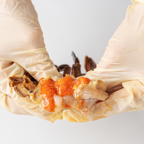 연평도 앞바다의 프리미엄 활 암꽃게