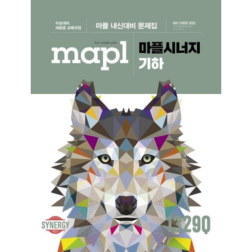 마플시너지 기하(2024):마플 내신대비 문제집