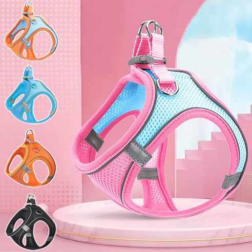 고양이와 안전하게 산책하기