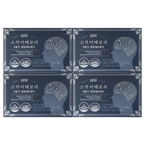 데이배리어 스카이메모리 500mg x 60캡슐 tr, 2개, 60정