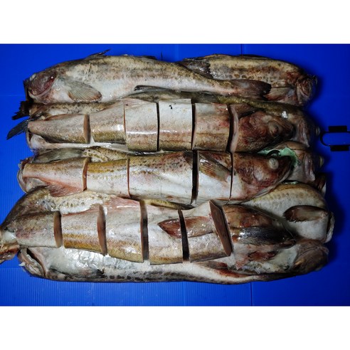 다원 동태 [6통] 토막5kg