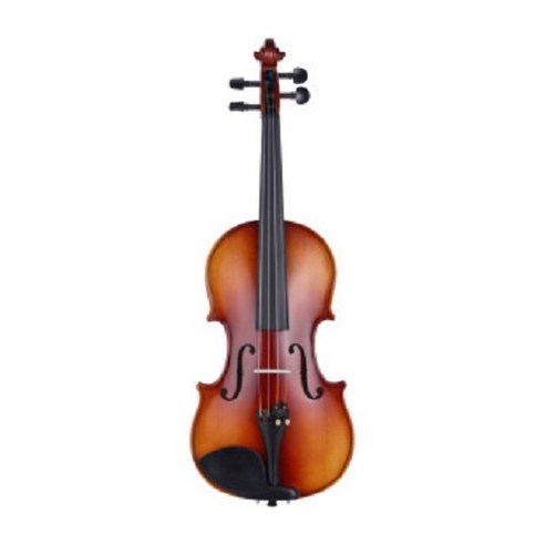초보자에게 완벽한 교육용 바이올린으로 음악 여정의 첫걸음을 내딛으세요.