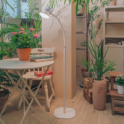 마녀박스 식물등 햇빛등 조명 식물LED 플랜테리어 식물생장 발육 24W WB-021, 햇빛등(WB-021) 원형 스탠드 세트