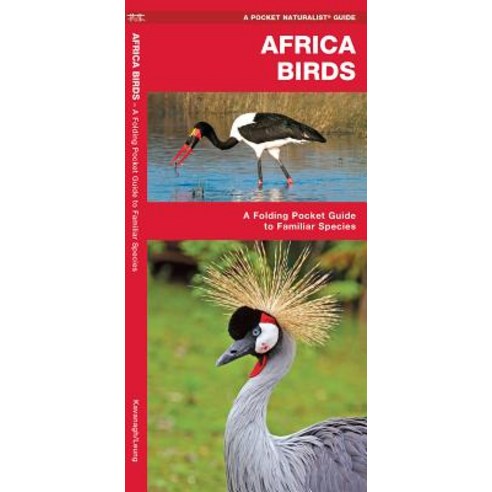 Africa Birds: A Folding Pocket Guide to Familiar Species Paperback, Waterford Press