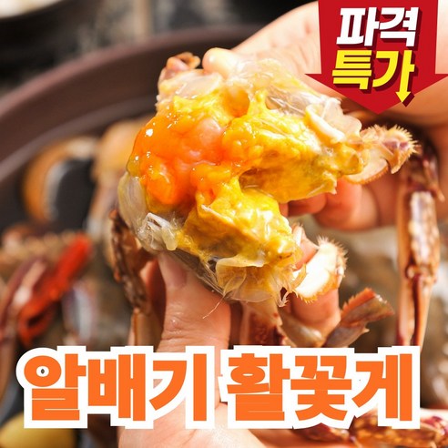 가성비 최강 봄 알배기 암꽃게