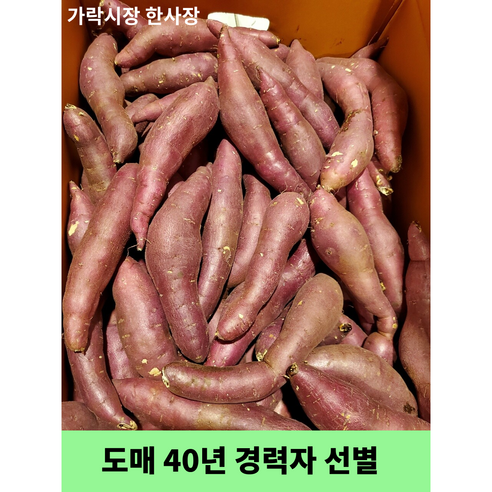 못난이 고구마 꿀밤고구마 5kg (도매 40년 경력자가 선별), 1개