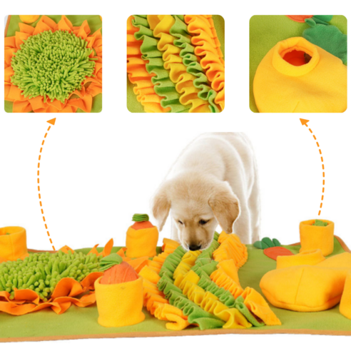 댕댕이 스트레스, 맘껏 킁킁 파헤치며 날려버리세요!