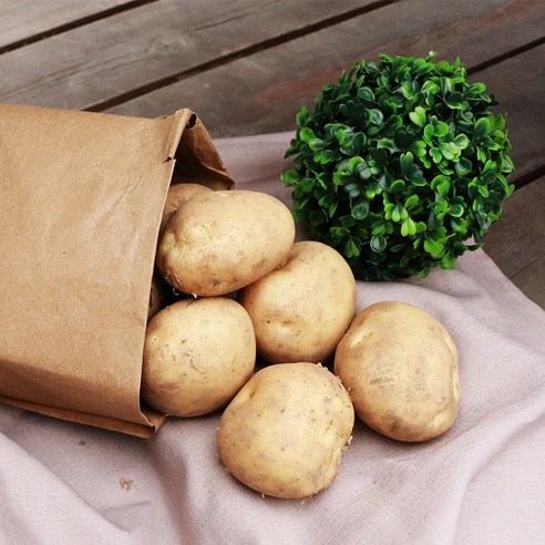 25년 정성으로 키운 세모농 햇감자, 맛과 건강을 식탁에!