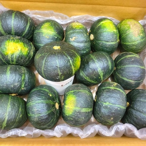 제주산 미니 단호박과 밤호박 2kg, 24년 수확, 산지직송 보우짱 제주도단호박 제주산 미니 단호박과 밤호박 2kg, 24년 수확, 산지직송 보우짱 제주도단호박