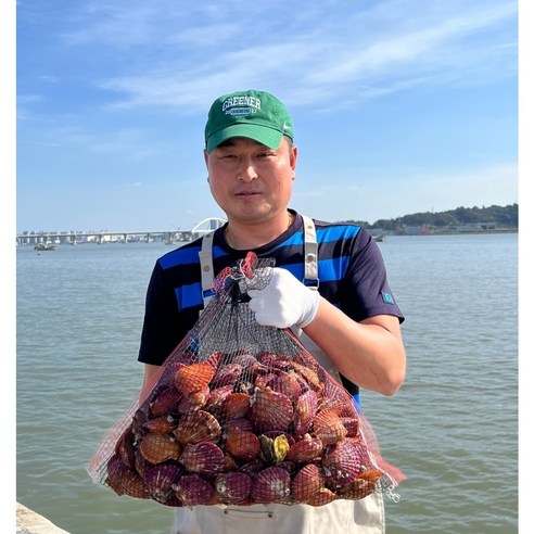 엄마수산 알이 큰 세척 가리비, 1개, 알이 더 큰 2kg 30미 내외