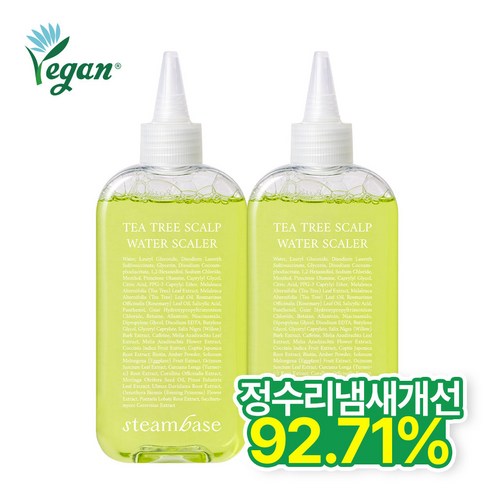 [공식] 스팀베이스 유분개선/정수리냄새케어 티트리 쿨링 스칼프 워터 스케일러 두피스케일링, 250ml, 2개