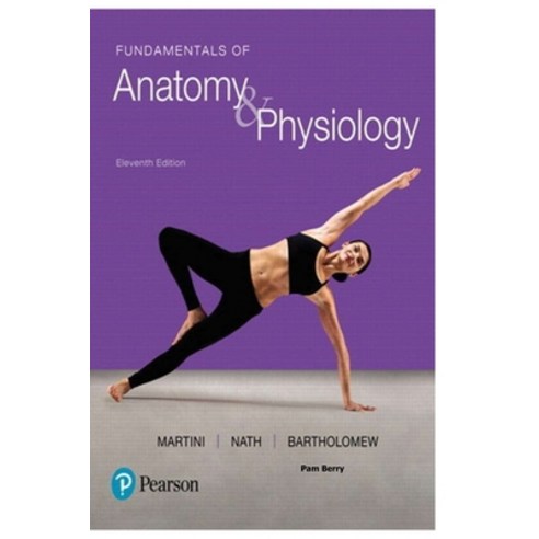 (영문도서) Fundamentals of Anatomy & Physiology Paperback, Independently Published, English, 9798373242257
