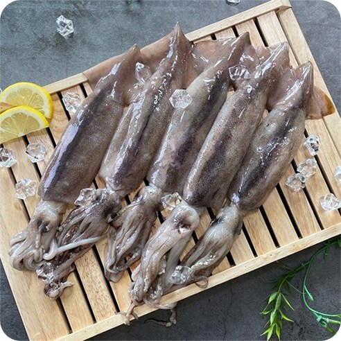 산지직송 통통 손질 통오징어 1팩당 2미씩 급냉, 1팩(270g 2미), 5개