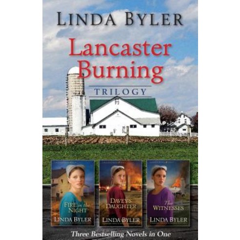 (영문도서) Lancaster Burning Trilogy 4 Paperback, Good Books, English, 9781680990621