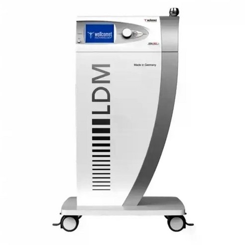 시간을 초월하는 아름다움, LDM과 함께