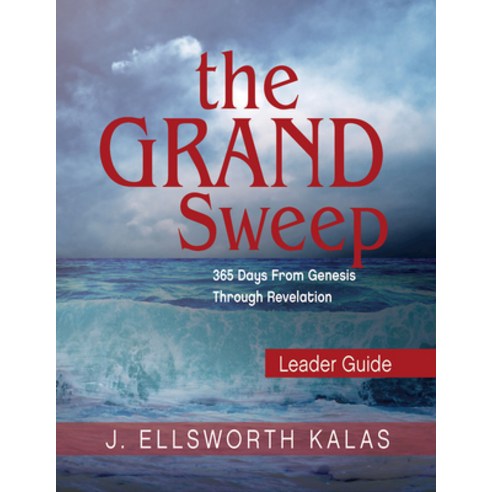 (영문도서) The Grand Sweep Leader Guide Paperback, Abingdon Press, English, 9781501836480