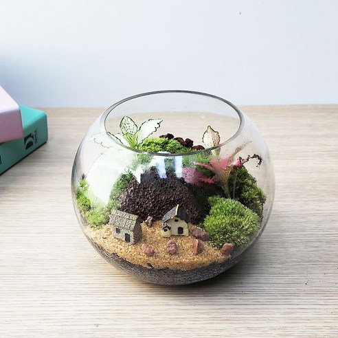 손쉽게 만드는 나만의 작은 정원, 잎새몰 이끼 테라리움 키트