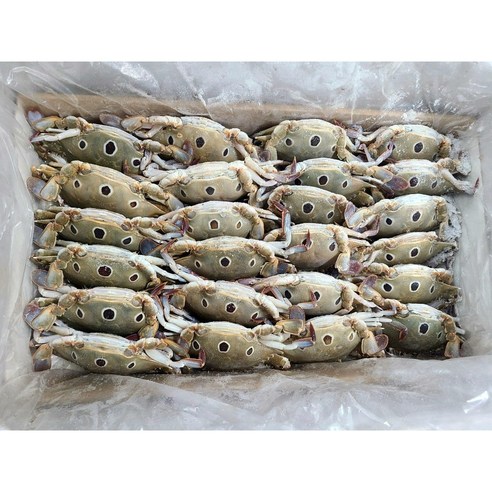 냉동삼점게 3kg 6kg 100/150 암게 숫게 냉동꽃게 라운드게 간장게장용, 3kg(24마리내외)암게, 1개