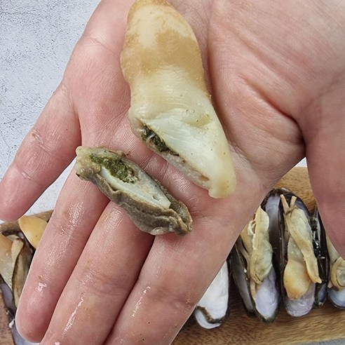 해변에서 신선한 해산물의 풍미를 즐기는 최상의 선택: 맛조개 1kg 캠핑 조개구이