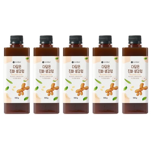 이제부터 다담은 진짜 생강청 600ml, 550g, 1개입, 5개