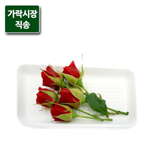 [오케이나우ㅣ강추] 가락시장의 매혹적인 미니장미, 아름다움을 선사하는 5송이의 선물 [OKNOWㅣ추천상품]