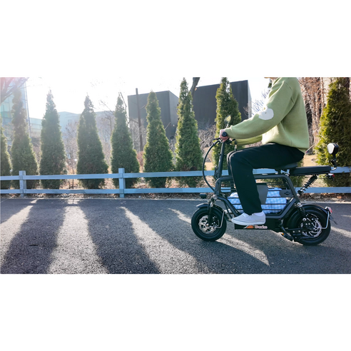 댕댕이와 함께하는 특별한 라이딩, 노르테 전동 스쿠터로 시작하세요!