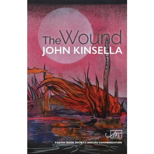 The Wound Paperback, ARC Publications, English, 9781910345979