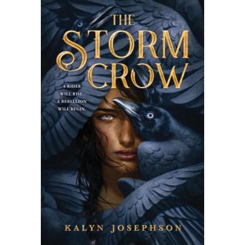 (영문도서) The Storm Crow Hardcover, Sourcebooks Fire, English, 9781492672937