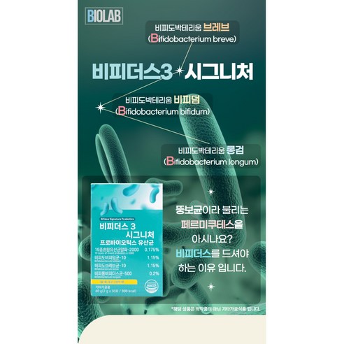 건강한 장을 위한 필수품