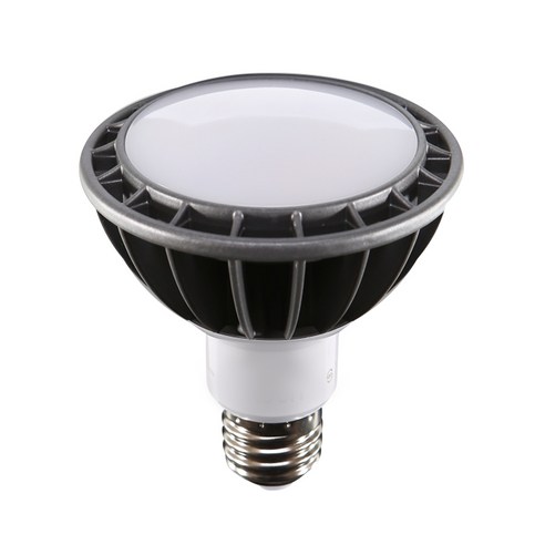 천지몰 LED PAR30 램프 15W 주광색 전구색 확산형 집중형, 1개, [LED PAR30 15W 집중형] 주광색(흰빛)