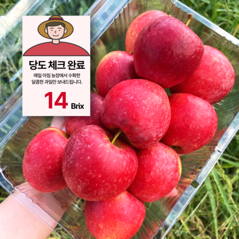 입안 가득 퍼지는 달콤함, 고농축 루비에스 미니 사과!