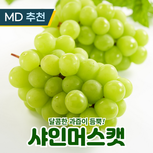 고급품종 프리미엄 샤인머스캣 당도선별, 1개, 프리미엄 2kg