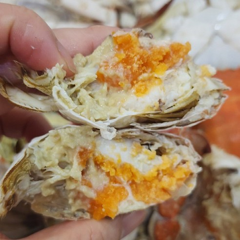 산지직송 당일조업 싱싱한 국내산 생물 암꽃게 알배기 활꽃게, 1박스, 1kg