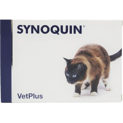 벳플러스 시노퀸 고양이 영양제 30개입, 1개, 면역력 강화