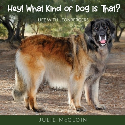 (영문도서) Hey! What Kind of Dog is That?: Life With Leonbergers Paperback, Gatekeeper Press, English, 9781662913679
