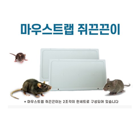 다이소 쥐끈끈이 쥐덧 쥐덫 10세트묶음 리뷰 후기