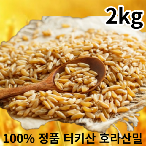 호라산밀 터키산 2kg 4kg 6kg 10kg 당뇨에좋은 슈퍼곡물 셀레늄 풍부한 당뇨 쌀, 1개