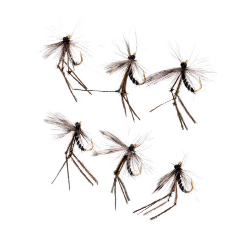 6 조각 검은 모기; 플라이 낚시 파리; 낚시 마른 파리; 낚시 미끼 미끼; 송어 연어 미끼; 2.2cm/0.9인치, 그림으로, 1.5 cm, 0.6 인치, 인공 깃털