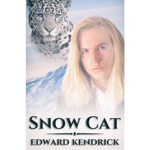 (영문도서) Snow Cat Paperback, Createspace Independent Pub..., English, 9781719448635