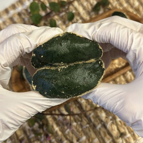 간편하게 즐기는 건강한 아침, 조은떡집 쑥 인절미