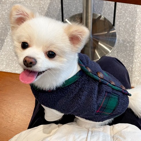 강아지 크리스마스 옷 산타옷 루돌프 고양이 망토 케이프 호랑이마켓, 4번, 1개