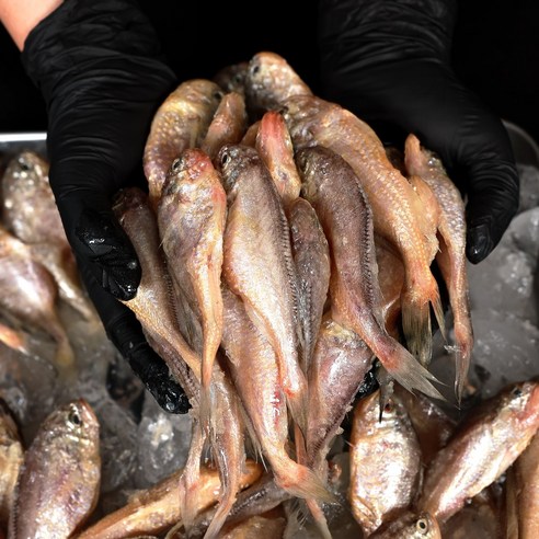 신안 황석어로 빚어내는 풍요로운 밥상의 향연