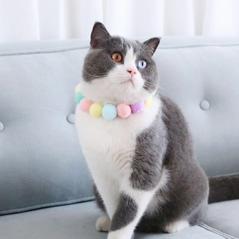 강아지 고양이 폼폼 목걸이 애견애묘 목도리 악세사리, 옐로우, 1개