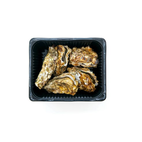 해양의 진미: 통영 삼배체굴의 맛과 신선함을 만끽하세요